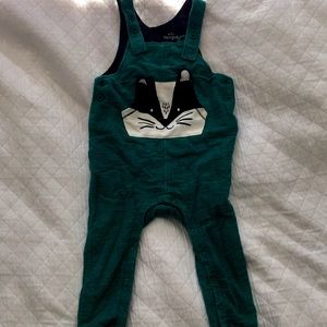 Raccoon overalls